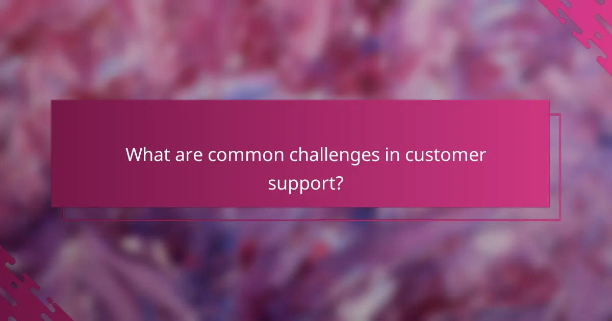 What are common challenges in customer support?