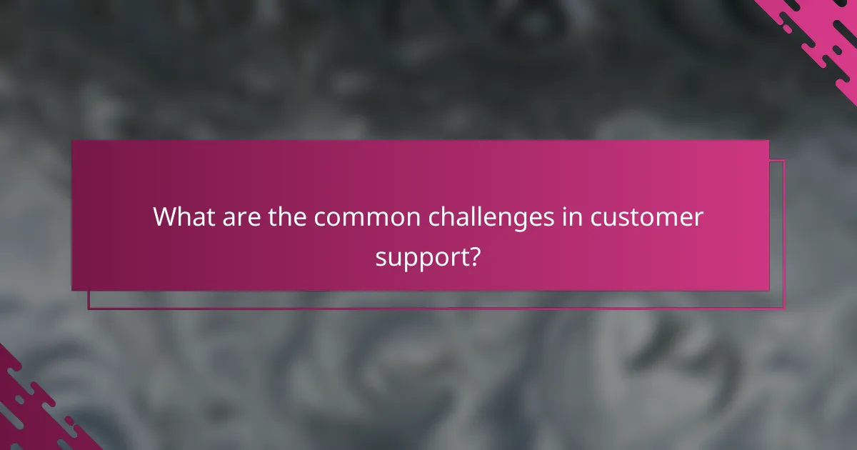 What are the common challenges in customer support?